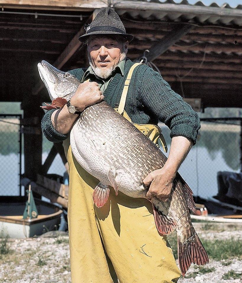 Mare respect  - 14533582346135533645922065167179n.jpg